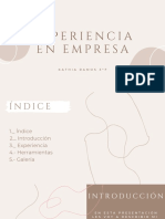 Experiencia en Empresa