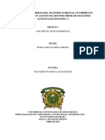 Informe ProyectoFinal TDI JMMR