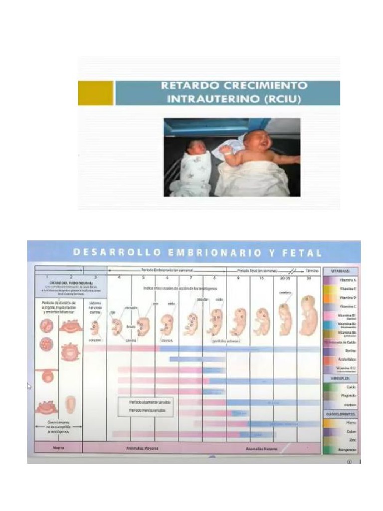 Rciu .... | PDF