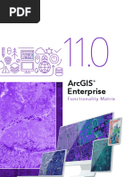 Arcgis Enterprise Functionality Matrix Manual