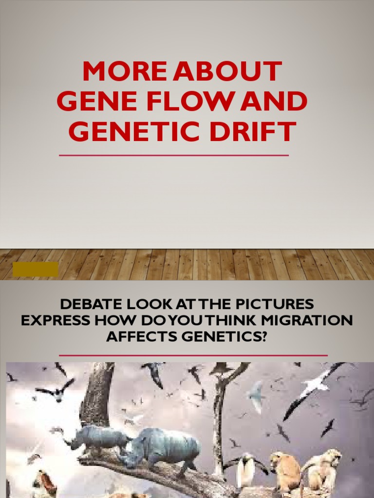 More About Gene Flow and Genetic Drift | PDF | Evolution | Natural ...