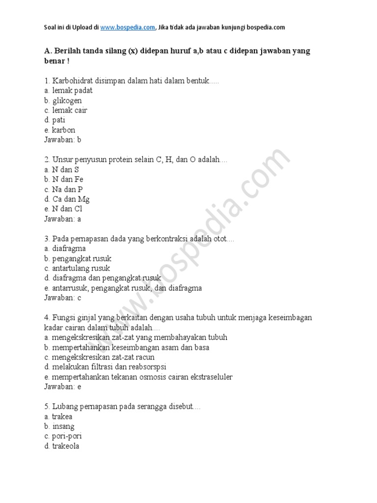 Menguasai Ujian Tengah Semester (UTS) Biologi Kelas 11 Semester 2: Panduan Lengkap dengan Contoh Soal
