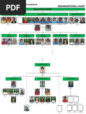 Organizational Structure - Word