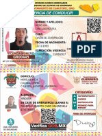 Diego Isaicanovalenzuela-Licencia Estatal-Tipo A