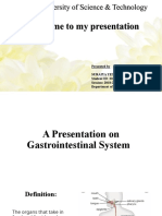 Gastrointestinal System