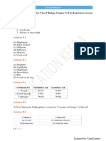 Respiratory System