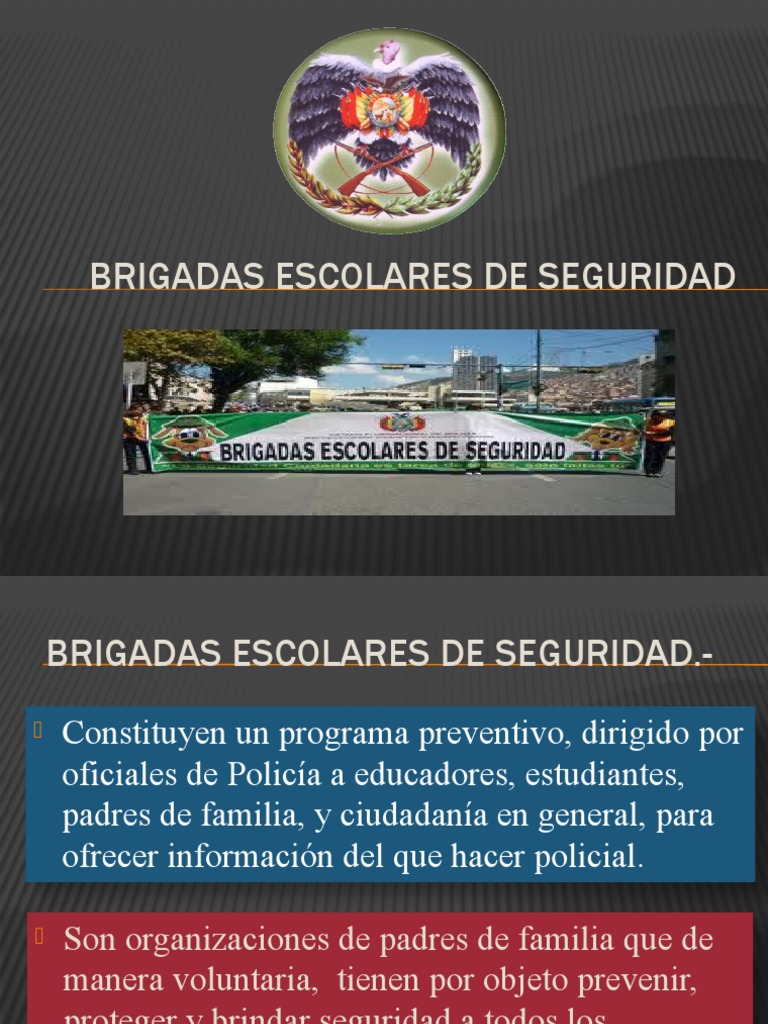 Brigadas Escolares de Seguridad en Bolivia | PDF | Policía