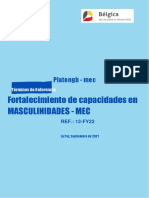 17 TDRs Consultoria Masculinidades MEC Bolivia Ref. 12 FY22