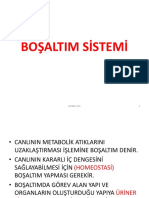 Boşaltım Sistemi