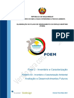 Inventário Ambiental POEM Moçambique