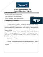 Cópia de RELATÃ - RIO FINAL DE ESTÃ - GIO BÃ - SICO NEUROPSICOLOGIA (1) D