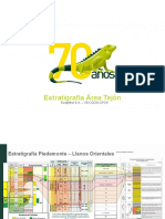 Información Estratigráfica_Área Acacias