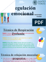 Regulacion Emocional