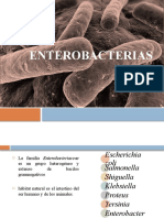 ENTEROBACTERIAS