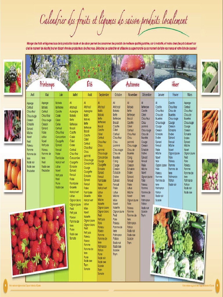 Calendrier Fruit Legume Saison NPDC PDF