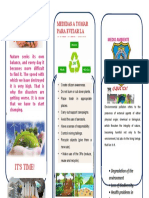 Triptico de Contaminacion Ambiental