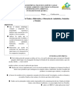 Guia de Laboratorio-Practica 9. Formacion de Oxidos e Hidroxidos