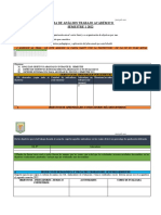 Ficha Analisis Plan Anual Primer Semestre 2022