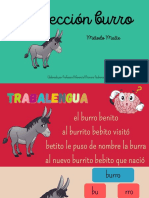 Lección Burro