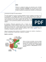 Sistema endócrino e seus principais órgãos