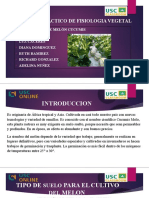 Presentacion de Fisiologia