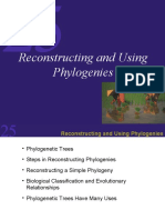 Reconstructing and Using Phylogenies