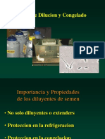 Proceso de Dilucion y Congelacion