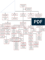 Organigrama CIDMI