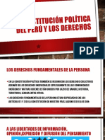 La Constitución Política Del Perú y Los Derechos