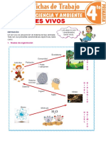 Seres Vivos para Cuarto Grado de Primaria