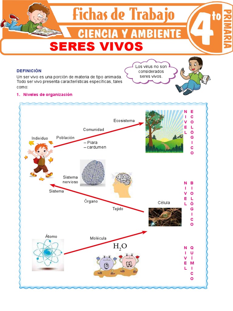 Características de los Seres Vivos | PDF | Virus | Organismos