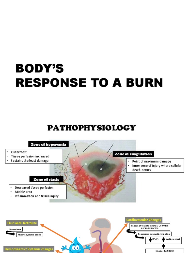 Body's Response to Burns | PDF