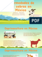 Enfermedades de Las Cabras de Mèxico y Vacunas