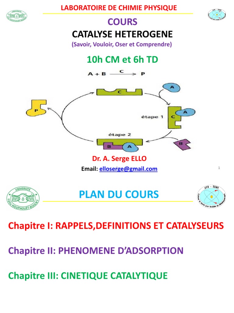 Cours sur la Catalyse Hétérogène | PDF | Adsorption | Catalyse