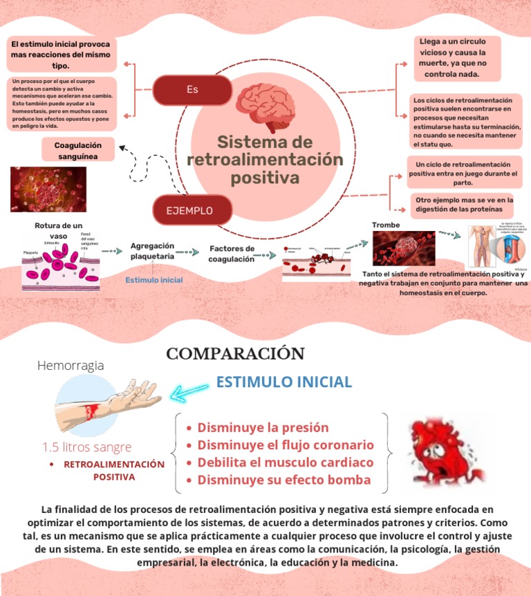 ejemplos-de-retroalimentaci-n-positiva-pdf-realimentaci-n-homeostasis