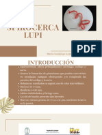 Spirocerca Lupi - Presentación