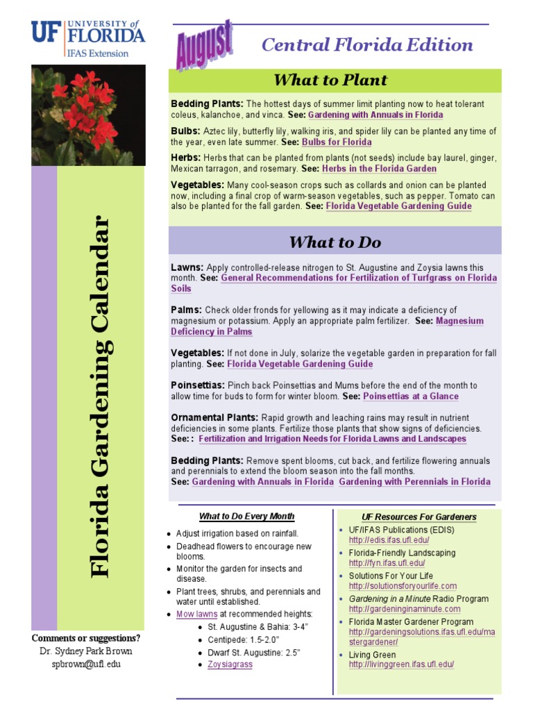 What To Plant Central Florida Edition PDF Perennial Plant Plants