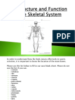 The Structure and Function of The Skeletal System PowerPoint