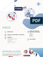 Salud Intercultural - Ciudadania e Interculturalidad