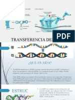 Transferencia Del Arn 2