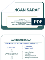 5 - Jaringan Syaraf