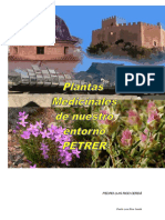 Plantas Medicinales