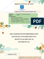 Grupo 7 - Mecanismos de Fitorremediación de Suelos Contaminados Con Moléculas Orgánicas Xenobióticas..