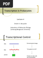 Transcription in Prokaryotes: Dindin H. Mursyidin Laboratory of Molecular Biology Lambung Mangkurat University