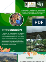 Estimación y Análisis de Diversidad Páramo Cruz Verde, Cundinamarca - Bioparque Los Ocarros Meta