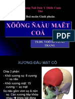 Xuong DMC, Pass