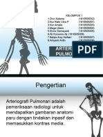 TR Arteriografi Pulmonaris