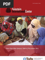 Download Three Year Strategic Plan by Feinstein International Center SN5868275 doc pdf