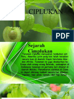 CIPLUKAN