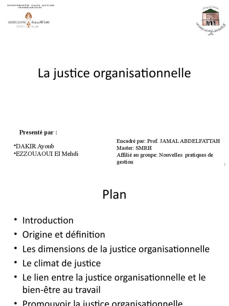 La Justice Organisationnelle | PDF | Justice | Crime et violence